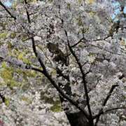 ヒメ日記 2026/04/16 12:35 投稿 IROHA Big Tits(ビッグティッツ)