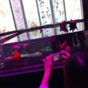 ヒメ日記 2026/04/17 15:43 投稿 IROHA Big Tits(ビッグティッツ)