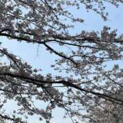 ヒメ日記 2026/04/15 16:00 投稿 IROHA Big Tits(ビッグティッツ)