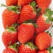 ヒメ日記 2024/12/27 06:40 投稿 向井みふゆ 五十路マダム 岐阜店