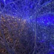 ヒメ日記 2025/01/19 10:10 投稿 向井みふゆ 五十路マダム 岐阜店