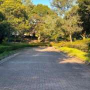 ヒメ日記 2025/02/01 09:26 投稿 向井みふゆ 五十路マダム 岐阜店