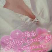 ヒメ日記 2025/05/13 11:39 投稿 はな アネックスジャパン