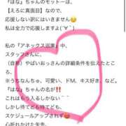 ヒメ日記 2026/03/10 19:09 投稿 はな アネックスジャパン
