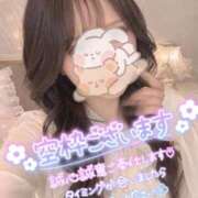 ヒメ日記 2026/05/08 10:09 投稿 はな アネックスジャパン