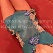 ヒメ日記 2025/03/13 08:05 投稿 純怜 琥珀（こはく）