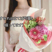 ヒメ日記 2025/04/30 16:34 投稿 純怜 琥珀（こはく）