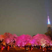 純怜 一陽来復 琥珀（こはく）