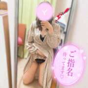 ヒメ日記 2025/02/12 16:19 投稿 ゆあん ぽちゃLOVE(サンライズグループ)