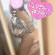 ヒメ日記 2026/07/11 20:48 投稿 ゆあん ぽちゃLOVE(サンライズグループ)