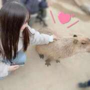 ヒメ日記 2025/02/27 10:48 投稿 クリスPドーナツ OL精薬