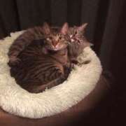 ヒメ日記 2025/10/24 17:51 投稿 ゆず 吉野ケ里人妻デリヘル 「デリ夫人」