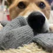 ヒメ日記 2025/11/20 19:36 投稿 ゆず 吉野ケ里人妻デリヘル 「デリ夫人」