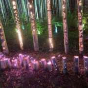 ヒメ日記 2025/01/01 00:01 投稿 みる ばつぐん素人プロダクション