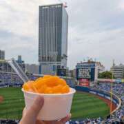 ヒメ日記 2025/06/13 21:00 投稿 なつみ 奥鉄オクテツ神奈川店（デリヘル市場グループ）
