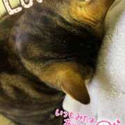 ヒメ日記 2025/02/11 15:20 投稿 うるか 逆電車ごっこ ～GLAMOROUS TRAIN～