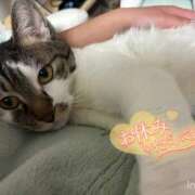 ヒメ日記 2025/03/11 01:50 投稿 うるか 逆電車ごっこ ～GLAMOROUS TRAIN～