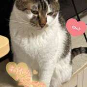 ヒメ日記 2025/04/17 23:20 投稿 うるか 逆電車ごっこ ～GLAMOROUS TRAIN～