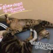 ヒメ日記 2025/10/31 20:50 投稿 うるか 逆電車ごっこ ～GLAMOROUS TRAIN～