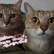 ヒメ日記 2026/01/21 22:50 投稿 うるか 逆電車ごっこ ～GLAMOROUS TRAIN～