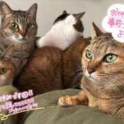 ヒメ日記 2026/01/26 15:00 投稿 うるか 逆電車ごっこ ～GLAMOROUS TRAIN～