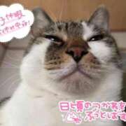 ヒメ日記 2026/02/10 18:10 投稿 うるか 逆電車ごっこ ～GLAMOROUS TRAIN～