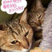 ヒメ日記 2026/02/23 21:40 投稿 うるか 逆電車ごっこ ～GLAMOROUS TRAIN～