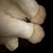 ヒメ日記 2026/03/29 18:28 投稿 うるか 逆電車ごっこ ～GLAMOROUS TRAIN～