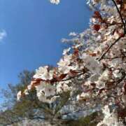 ヒメ日記 2026/04/02 18:10 投稿 うるか 逆電車ごっこ ～GLAMOROUS TRAIN～