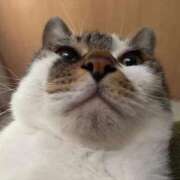 ヒメ日記 2026/04/12 21:28 投稿 うるか 逆電車ごっこ ～GLAMOROUS TRAIN～