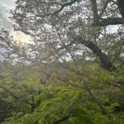 ヒメ日記 2026/04/16 17:46 投稿 うるか 逆電車ごっこ ～GLAMOROUS TRAIN～