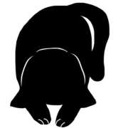 ヒメ日記 2024/12/14 20:05 投稿 ひまり ラブじゅばん