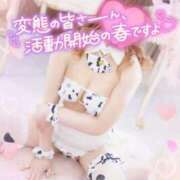 ヒメ日記 2025/02/27 14:01 投稿 みる チューリップ熊本店