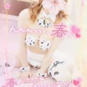 ヒメ日記 2025/03/06 10:02 投稿 みる チューリップ熊本店