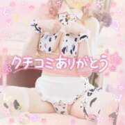 ヒメ日記 2025/03/08 12:51 投稿 みる チューリップ熊本店