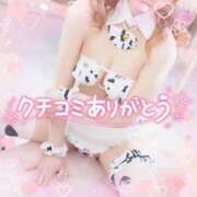 ヒメ日記 2025/03/08 13:21 投稿 みる チューリップ熊本店