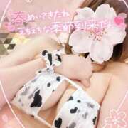 ヒメ日記 2025/03/10 15:21 投稿 みる チューリップ熊本店