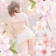 ヒメ日記 2025/03/15 08:21 投稿 みる チューリップ熊本店