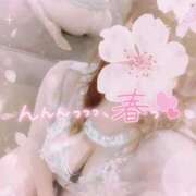 ヒメ日記 2025/03/16 14:51 投稿 みる チューリップ熊本店