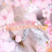 ヒメ日記 2025/03/18 07:51 投稿 みる チューリップ熊本店