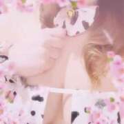 ヒメ日記 2025/03/28 08:21 投稿 みる チューリップ熊本店