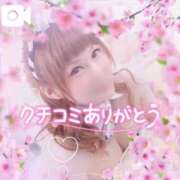 ヒメ日記 2025/04/07 13:21 投稿 みる チューリップ熊本店