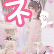 ヒメ日記 2025/04/19 11:24 投稿 みる チューリップ熊本店