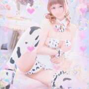 ヒメ日記 2025/06/07 13:51 投稿 みる チューリップ熊本店