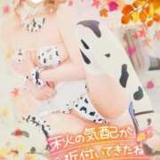 ヒメ日記 2025/09/02 06:20 投稿 みる チューリップ熊本店