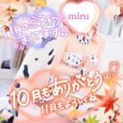 ヒメ日記 2025/11/02 14:20 投稿 みる チューリップ熊本店