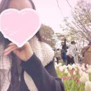 ヒメ日記 2025/04/15 20:03 投稿 いろは リニューアル