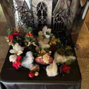 ヒメ日記 2024/12/15 14:58 投稿 三条つばき 五十路マダム静岡店（カサブランカG）