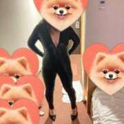 ヒメ日記 2025/01/26 00:14 投稿 三条つばき 五十路マダム静岡店（カサブランカG）