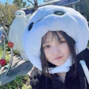 ヒメ日記 2025/02/19 04:55 投稿 ねこ・SP やまとなでしこ桜組